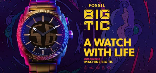 What Is the Fossil Big Tic? The Townsman Big Tic Explained