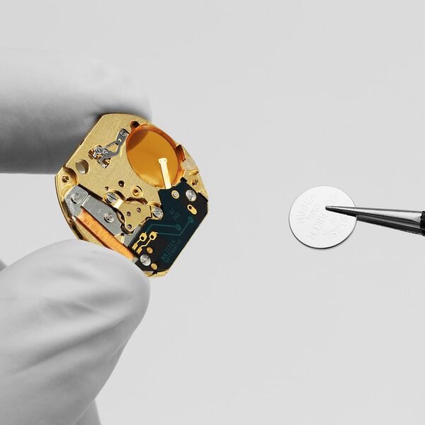 Men Edge Base Line Analogue Watch  NS1843WL01 - Shop Authentic TITMENWAT(s) from Maybrands - for as low as ₦231500! 