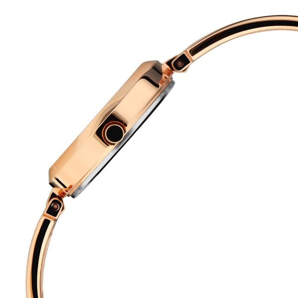 Titan Raga Viva Rose Gold Metal Analog Strap Watch for Women NT2622WM01 - Shop Authentic TITWOMWAT(s) from Maybrands - for as low as ₦153000! 