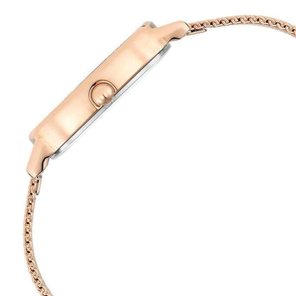 Titan Raga Viva Brown Dial Analog Stainless Steel Strap Watch for Women NU2665WM01 - Shop Authentic TITWOMWAT(s) from Maybrands - for as low as ₦163500! 