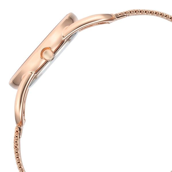 Titan Raga Chic Quartz Analog Pink Dial Metal Strap Watch for Women NT2696WM01 - Shop Authentic TITWOMWAT(s) from Maybrands - for as low as ₦200500! 